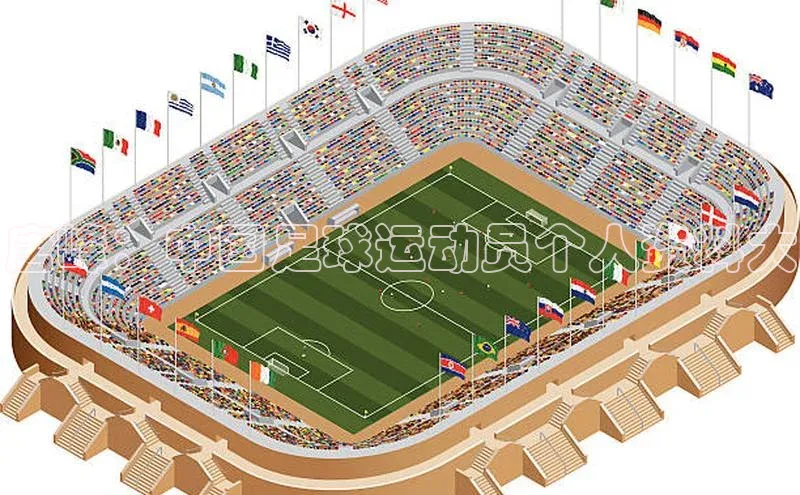 龙8官网正版顺丰唐峰：中国足球运动员个人资料大