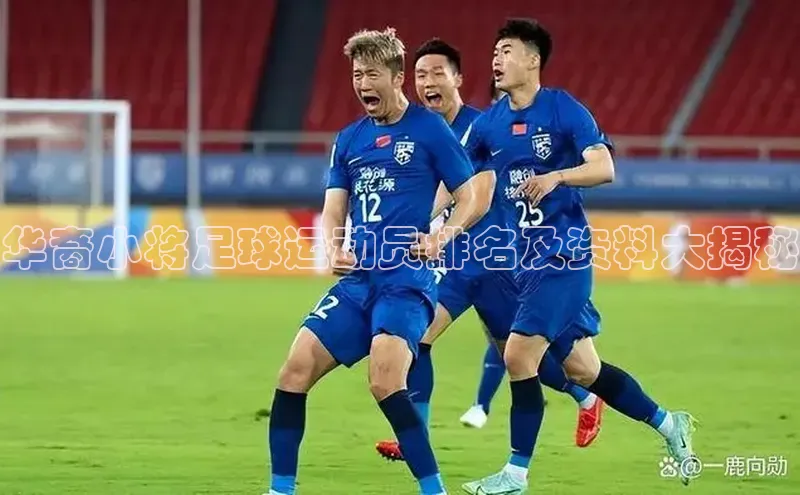 龙8官网手机登入口姚记科技华裔小将足球运动员排名及资料大揭秘