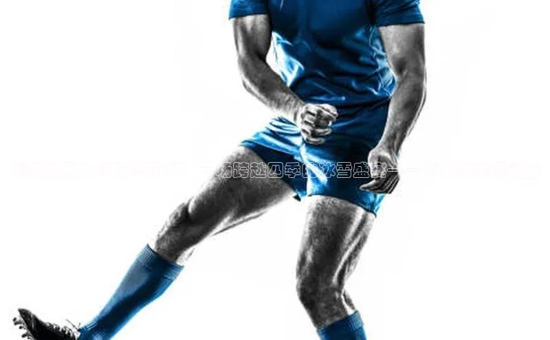 东北地区的传统与现代：一场跨越四季的冰雪盛宴——东北冬季运动会