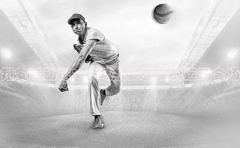 翔安运动馆：一场视觉盛宴的运动会场