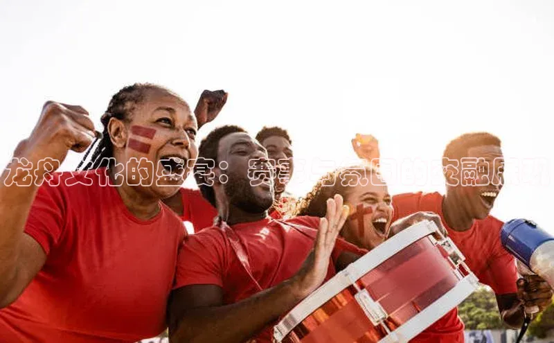 龙舟文化的盛宴：赛事与氛围的交融展现