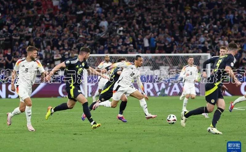 赛事日程与规则：运动赛事手册指南