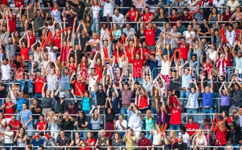 高尔夫球比赛：规则详解与实践指南