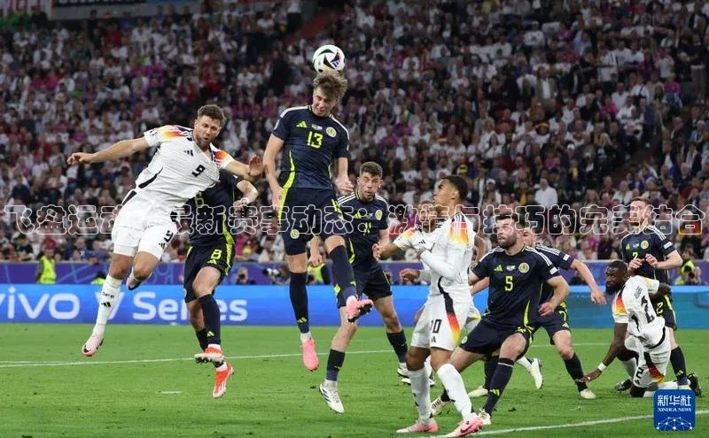 飞盘运动的最新赛事动态：激情与技巧的完美结合