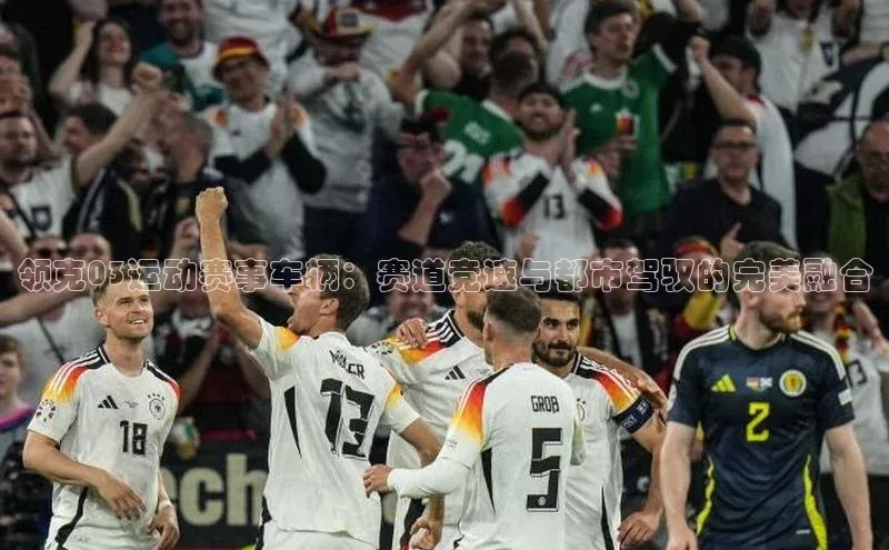 领克03运动赛事车辆：赛道竞速与都市驾驭的完美融合